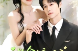 《救命！新婚夜，我和姐姐走错了婚房》(58集) 都市短剧全集免费畅看