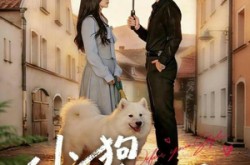 《小狗不会冬眠》(70集) 萌宠短剧全集免费赏看