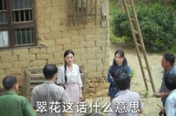 《小财星有亿点粮》(50集) 搞笑短剧全集免费观赏