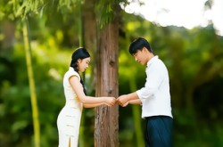 《月落乌啼霜满天》(40集) 古典短剧全集免费畅看