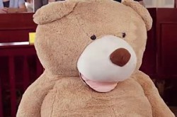 《一枕绒梦误终身》(60集) 浪漫短剧全集在线免费观看