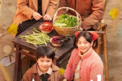 《家里家外》(79集) 家庭短剧全集完整版观看  