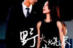 《野火烧尽芳草时》(65集) 虐心短剧全集在线免费看  