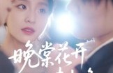 《晚棠花开情未晚》(30集) 浪漫短剧全集高清在线看