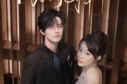 《顾总，苏秘书为何这样》(67集) 职场短剧全集高清在线看