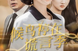 《候鸟停在谎言季》(45集) 都市短剧全集无删减观看