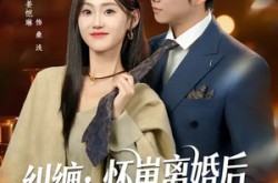 《纠缠：怀崽离婚后，前夫非要同居》(80集) 都市情感短剧全集观看  
