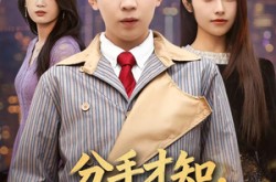 《分手才知，她暗恋我十七年》(80集) 爱情短剧全集免费观看