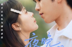 《夜晚群星闪耀》(70集) 都市爱情短剧全集免费看