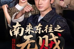 《南来东往之无贼》(51集) 冒险短剧全集免费观赏