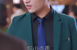 《飞鸟与鱼不同路》(60集) 爱情短剧全集免费观看