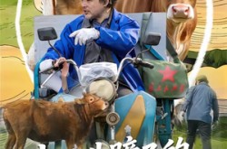 《我修牛蹄子的专治不服》(80集) 特色短剧全集免费观看无广告