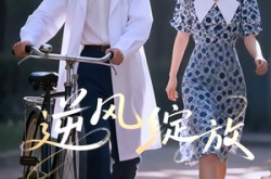 《逆风绽放》(55集) 励志短剧全集在线高清看