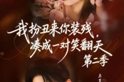 《我扮丑来你装残，凑成一对笑翻天第二季》(73集) 搞笑短剧全集网盘在线观看