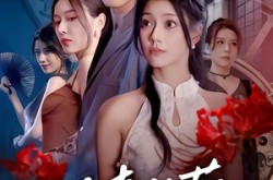 《情丝苦》(75集) 虐恋短剧全集免费观看  