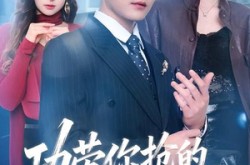 《功劳你抢的，出事找我干什么》(50集) 情感短剧全集在线看