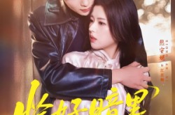 《恰好暗里逢他》(66集) 都市短剧全集高清观看