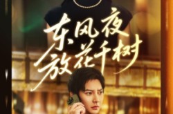 《东风夜放花千树》(91集) 古风短剧全集夸克网盘在线看