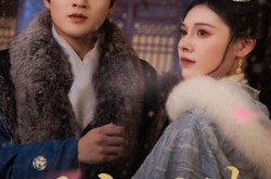 《雁字回时戍角起》(49集) 历史短剧全集免费看