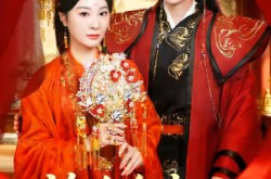 《捡个皇帝当赘婿》(82集) 古装短剧全集夸克网盘看