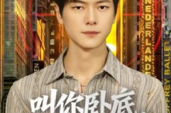 《叫你卧底，没叫你关心大嫂》(80集) 警匪短剧全集免费观看