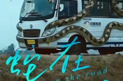 《蛇在车途》(34集) 悬疑短剧全集在线追