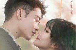 《宁愿几许》(78集) 都市情感短剧全集免费观