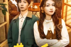 《巷陌暖阳》(80集) 温情治愈短剧全集免费观影