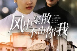 《风中聚散不由你我》(41集) 情感短剧全集在线畅享看