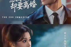 《聚会亮出身份，总裁老婆却要离婚》(81集) 婚姻短剧全集在线免费看  