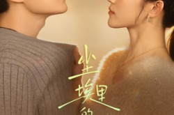 《尘埃里的新生》(60集) 都市短剧全集百度网盘观看  