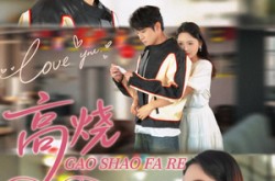 《高烧发热》(80集) 医疗短剧全集百度网盘在线看  