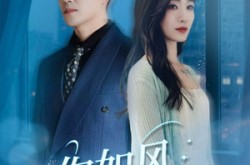 《你如风我似烬》(72集) 情感短剧高清全集在线看