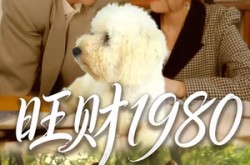 《旺财1980》(83集) 年代短剧全集高清在线看