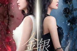 《金银双姝》(80集) 言情短剧全集免费观享