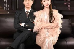 《我家赘婿世无双》(73集) 赘婿短剧全集在线播放  