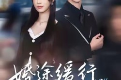 《婚途缓行，爱意渐远》(60集) 情感短剧全集高清观看