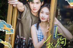 《小狗抓蝴蝶》(75集) 萌宠短剧全集免费看