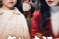 《年年寻亲记》(31集) 寻亲短剧全集免费看  