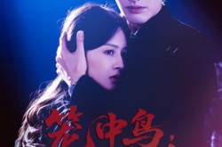 《笼中鸟，烬中生》(60集) 爱情短剧免费全集看