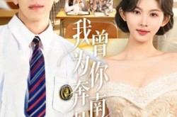 《我曾为你奔南赴北》(60集) 都市短剧全集免费看