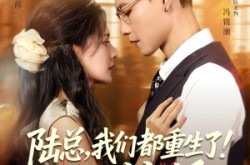 《陆总我们都重生了别离婚》(79集) 都市短剧全集免费在线看