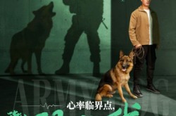 《心率临界点谁都别惹我》(96集) 动作短剧全集百度网盘在线看