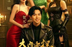 《大内密探零零玖》(40集) 古装短剧全集高清观看