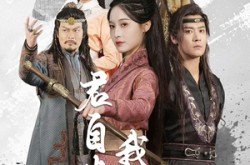 《我自迎风向故里》(61集) 温情短剧全集高清观看