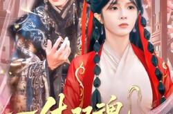 《一体双魂，皇帝帮我来宫斗》(84集) 宫斗短剧全集在线看