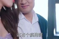 《我在医院混得风声水起》(80集) 医疗短剧全集免费在线观