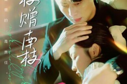 《折枝赠南枝》(80集) 古风短剧全集在线免费看