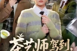 《茶艺师驾到白莲统统闪开》(65集) 都市短剧全集夸克网盘高清看