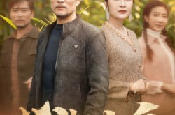 《父如山岳》(30集) 亲情剧短剧全集在线看